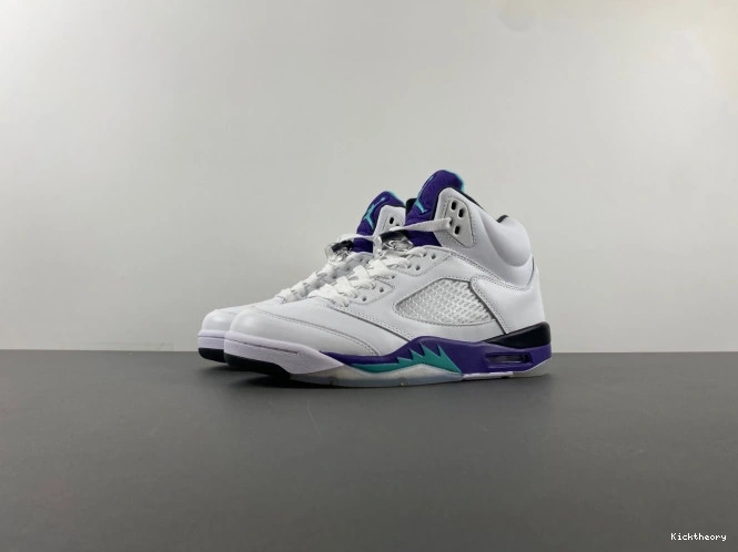 Kick Theory 136027-108 Grape 5 Air Jordan (2013) Retro 0820